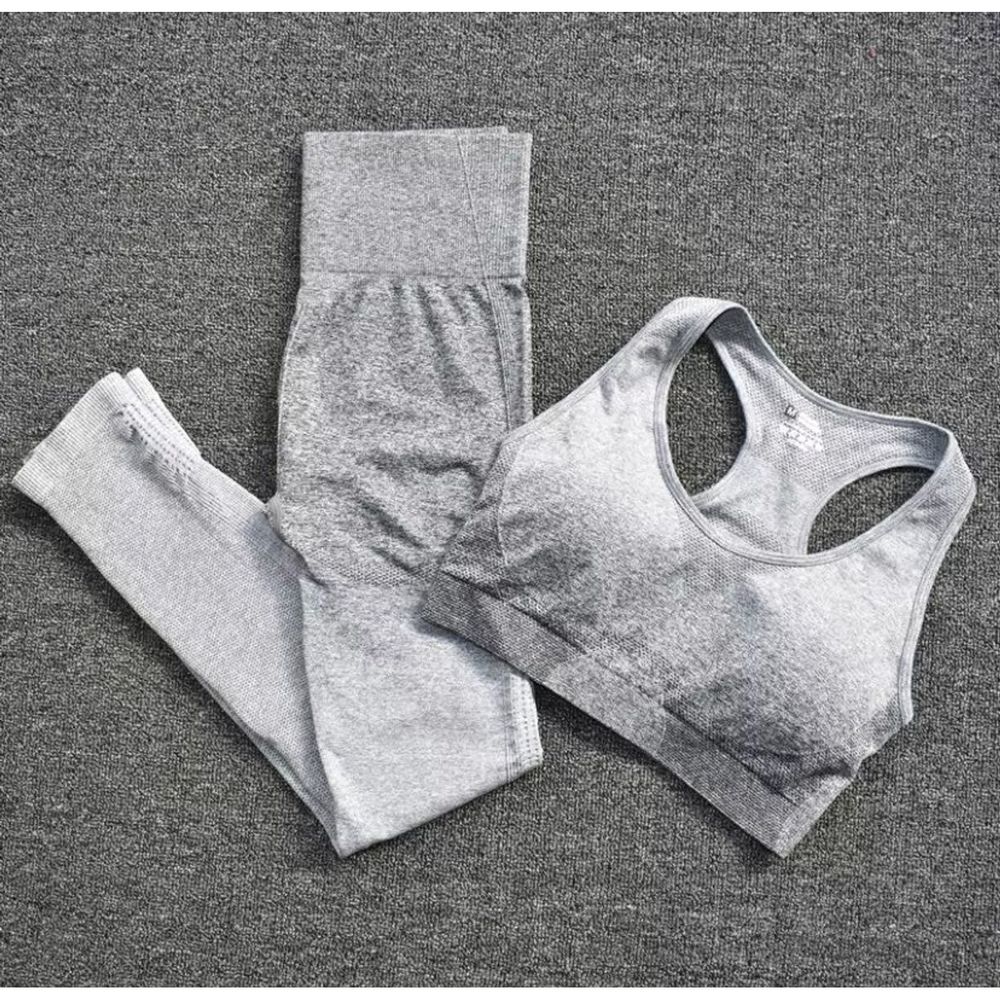 Ombre Adapt Seamless Leggings & Bra Set